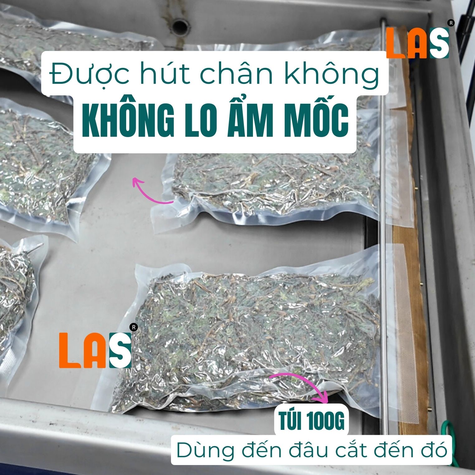 Đóng gói hút chân không cây dòi tím khô