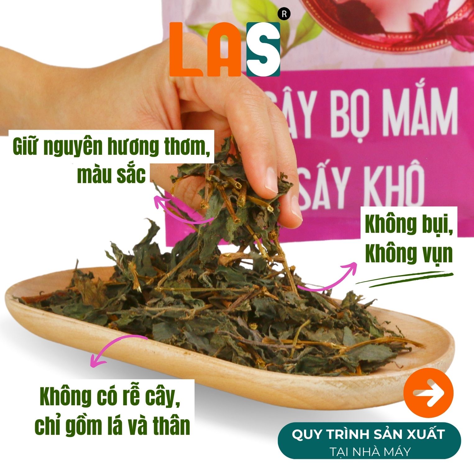 Hình ảnh cây dòi khô chụp thực tế
