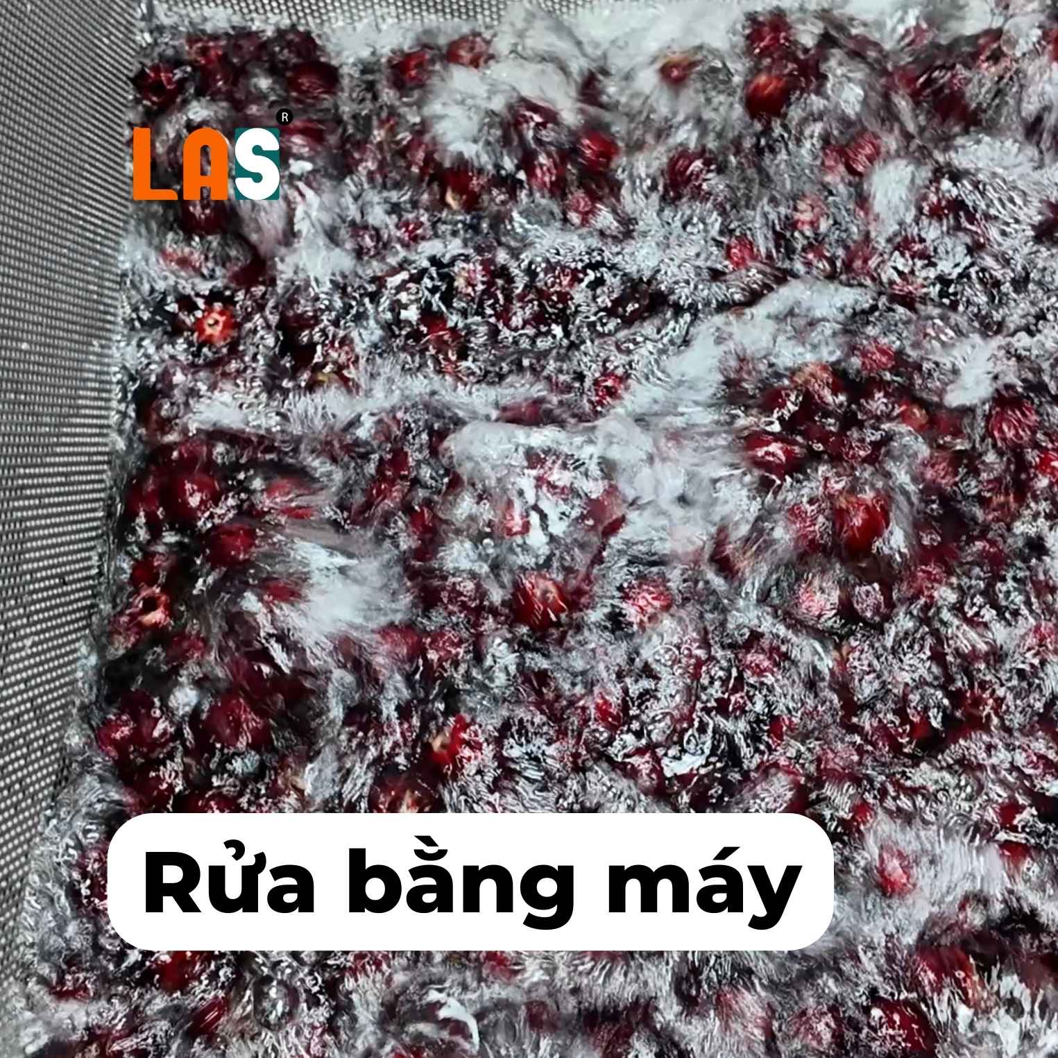 Trà Atiso đỏ khô - Gói 200gr hút chân không - Ảnh 3